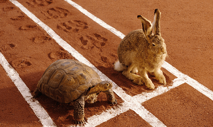 Lo bueno, si breve, dos veces bueno.